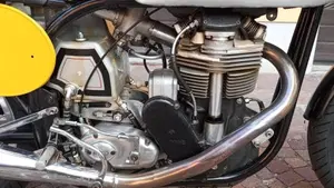 Norton   (3)