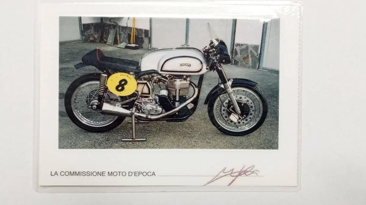 Norton   (17)