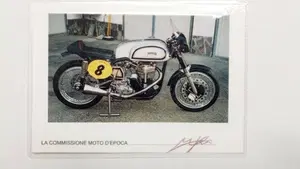 Norton   (17)