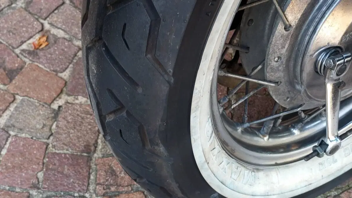 Suzuki   (13)