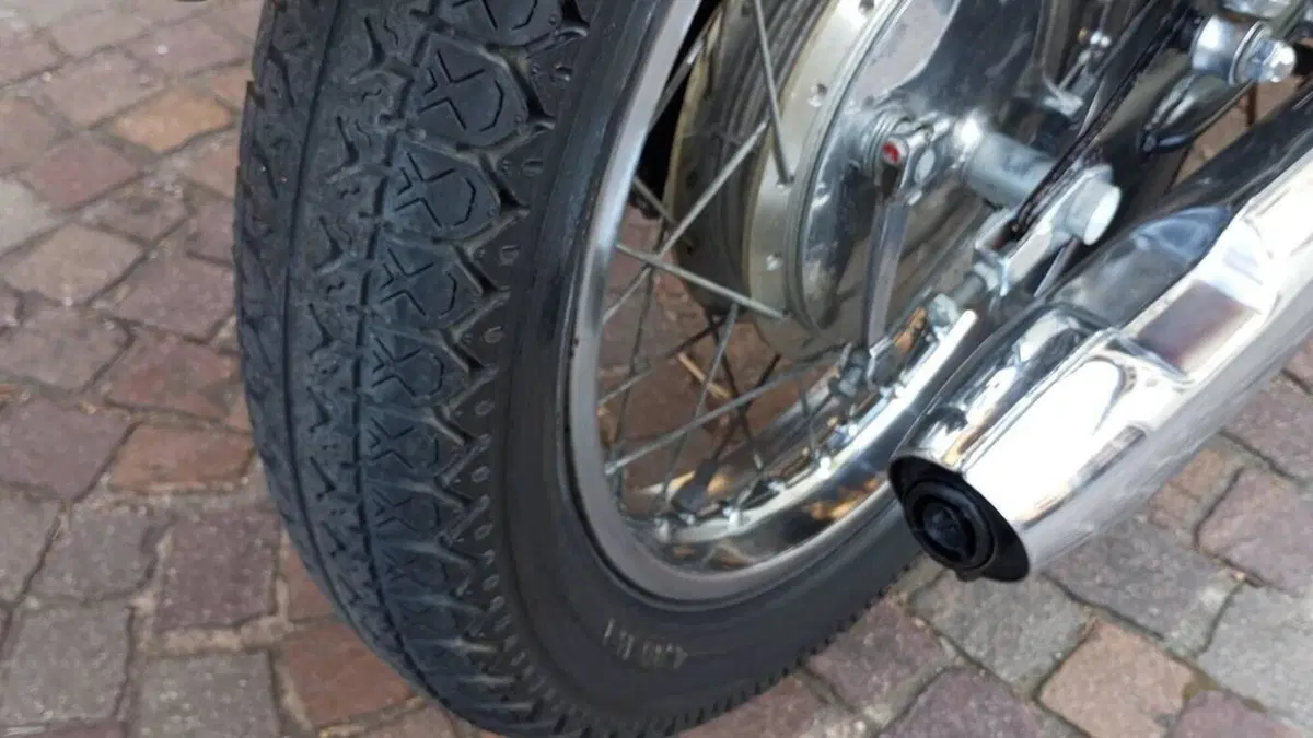 Suzuki   (17)