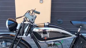Terrot   (11)