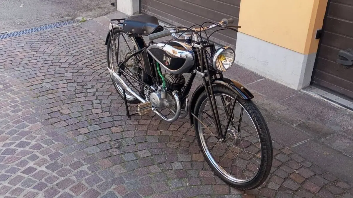 Terrot   (17)