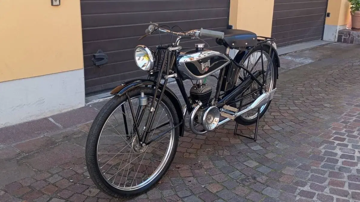 Terrot   (19)