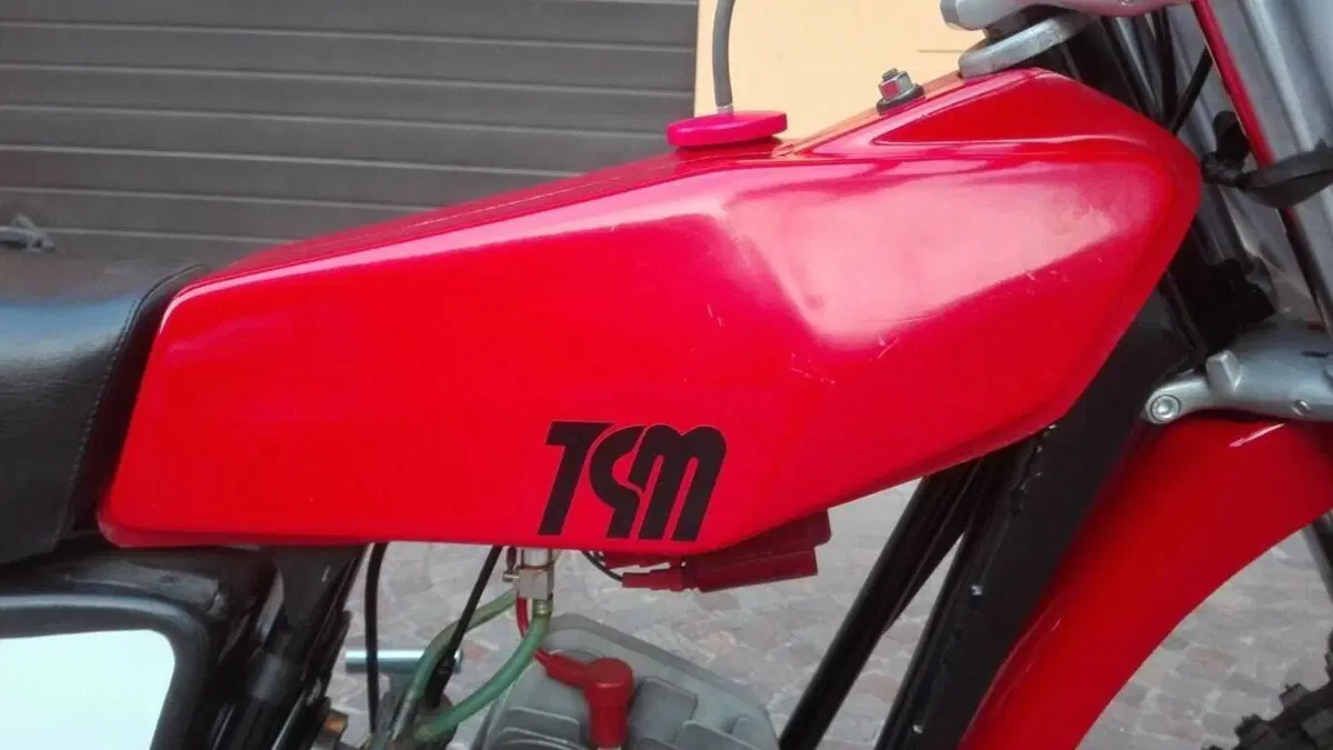 Tgm   (7)