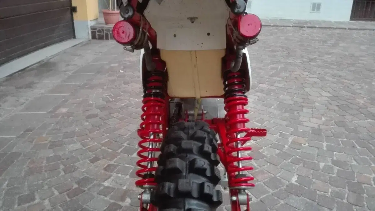 Tgm   (12)