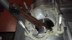 Tgm   (6)