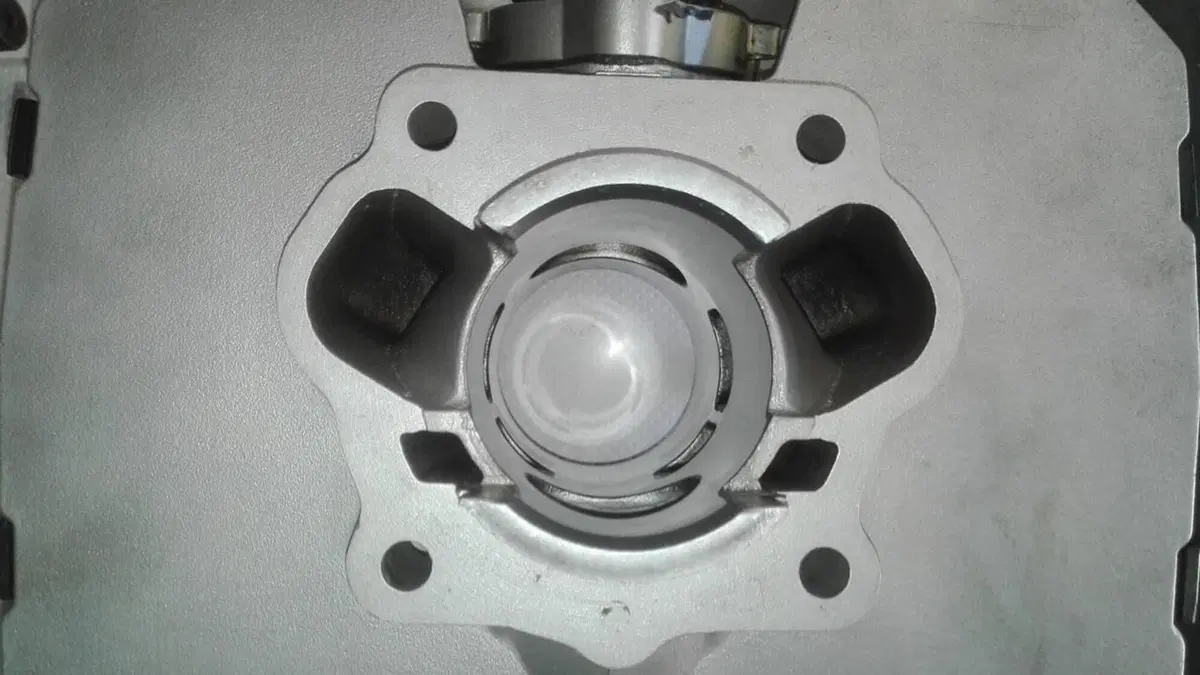 Tgm   (7)