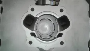 Tgm   (7)