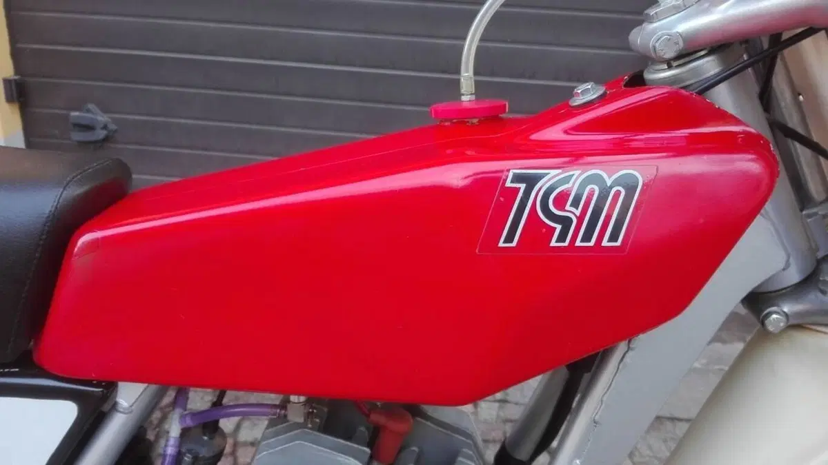 Tgm   (10)