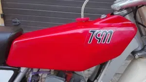 Tgm   (10)