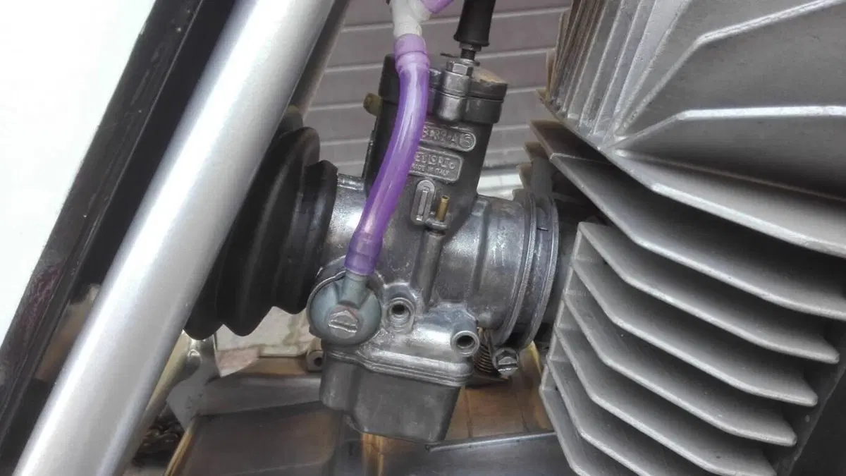 Tgm   (11)