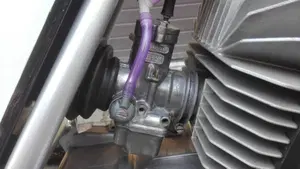 Tgm   (11)