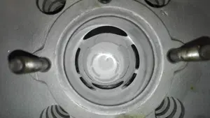 Tgm   (7)