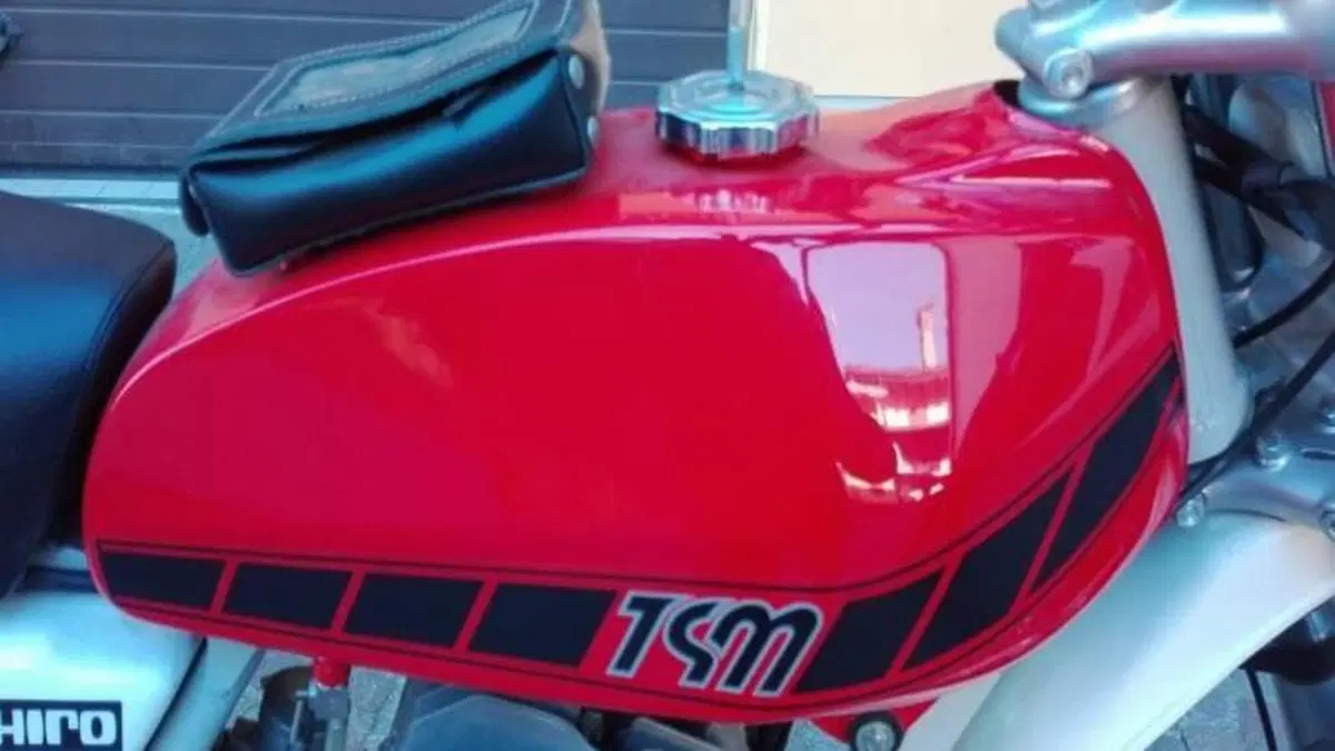 Tgm   (11)