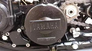 Yamaha   (13)