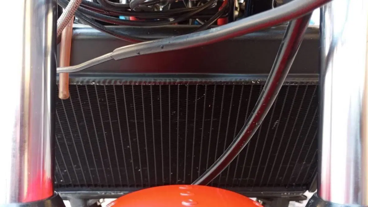 Yamaha   (16)