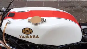 Yamaha   (19)
