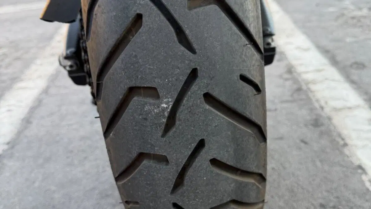 Bmw F 900 GS Adventure (2024 - 26)  (4)