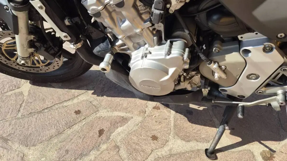 Honda Hornet 600 (2000 - 02)  (4)