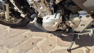 Honda Hornet 600 (2000 - 02)  (4)
