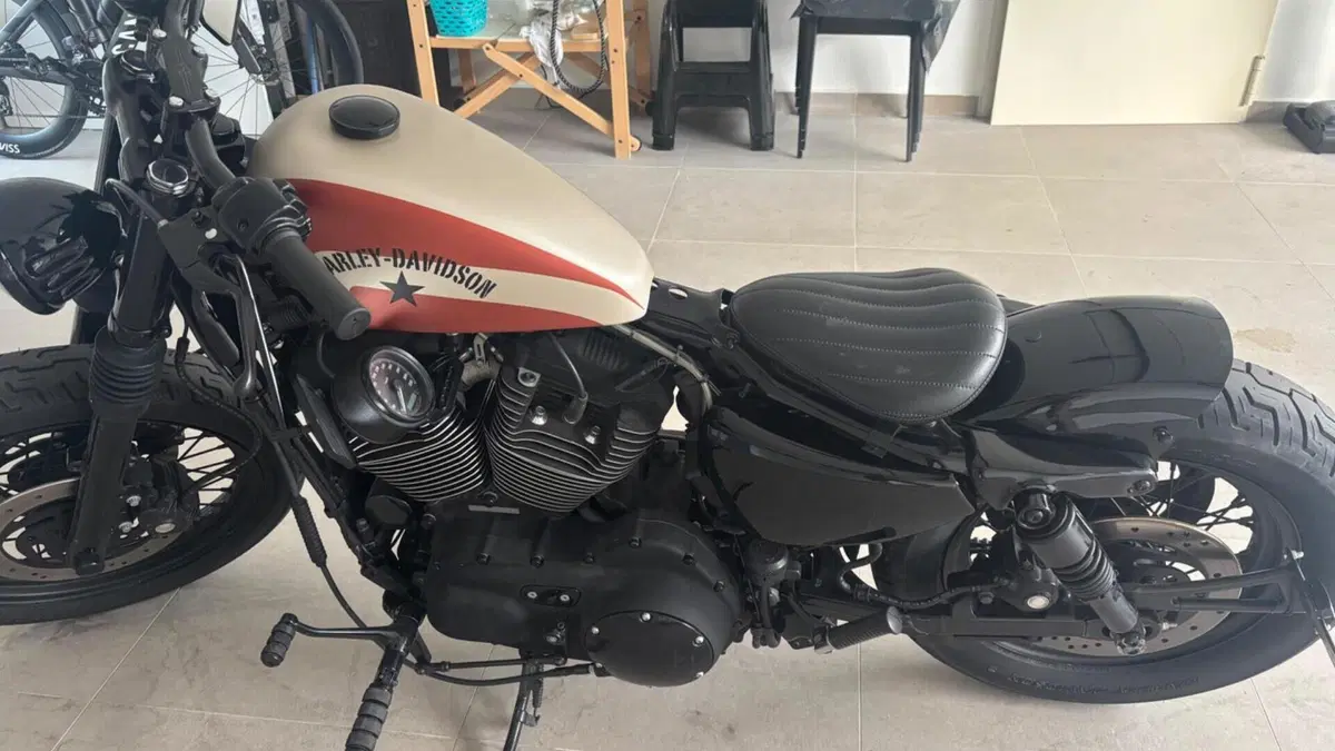 Harley-Davidson 1200 Roadster (2006 - 08) - XL 1200R  (3)