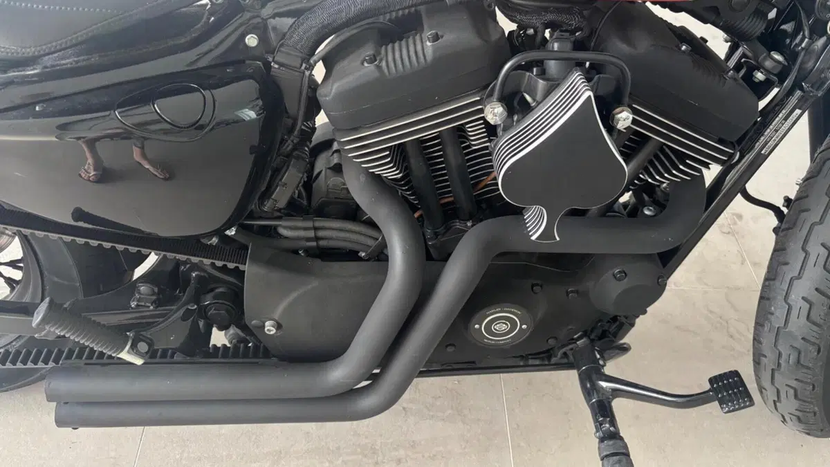 Harley-Davidson 1200 Roadster (2006 - 08) - XL 1200R  (6)