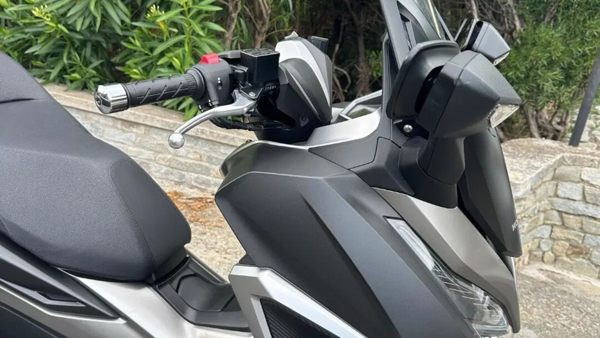 Honda Forza 350 Deluxe (2022 - 24)  (5)