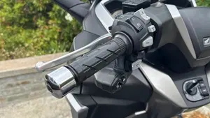 Honda Forza 350 Deluxe (2022 - 24)  (7)