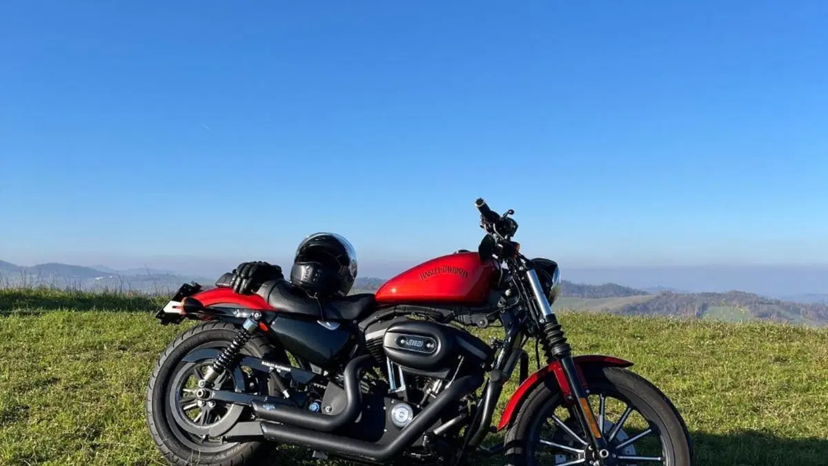 Harley-Davidson 883 Iron (2012 - 14) - XL 883N  (9)