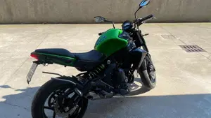 Kawasaki ER-6N ABS (2012 - 16)  (4)