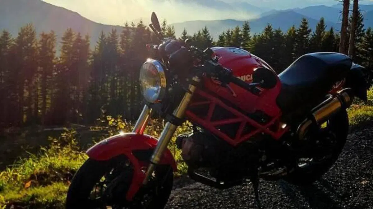 Ducati Monster 695 (2006 - 08)  (2)