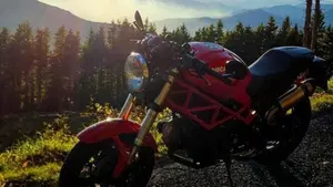 Ducati Monster 695 (2006 - 08)  (2)