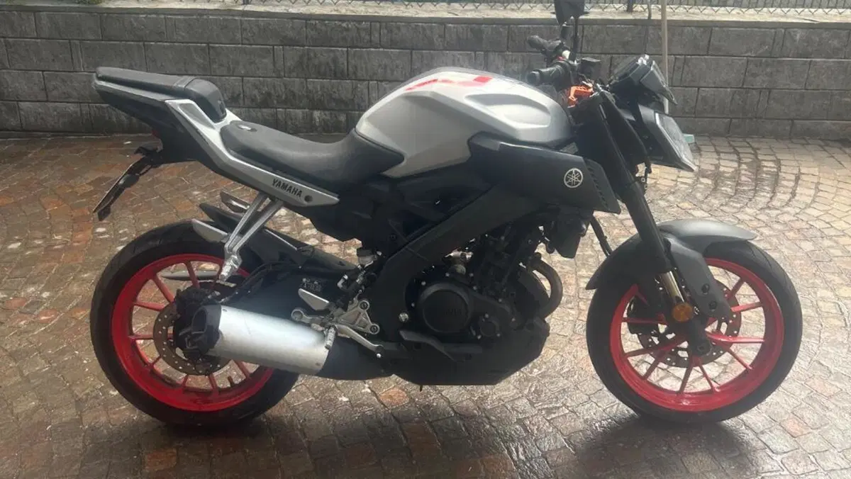 Yamaha MT-125 ABS (2017 - 19) 