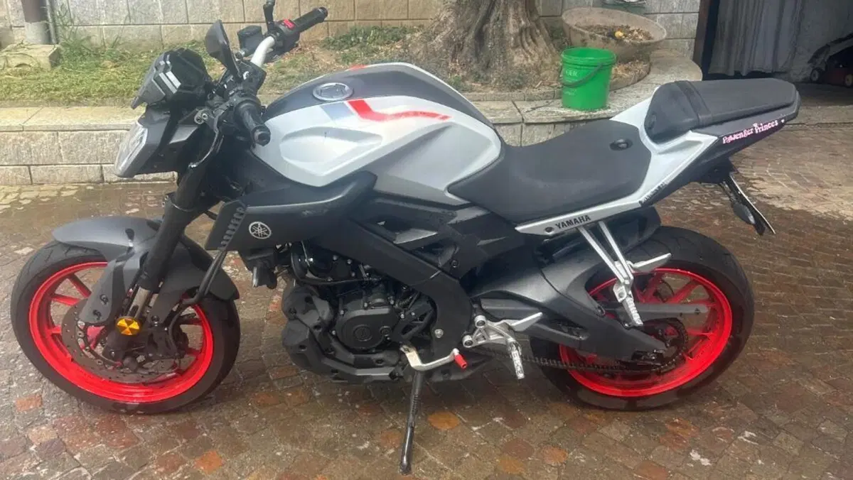 Yamaha MT-125 ABS (2017 - 19)  (3)
