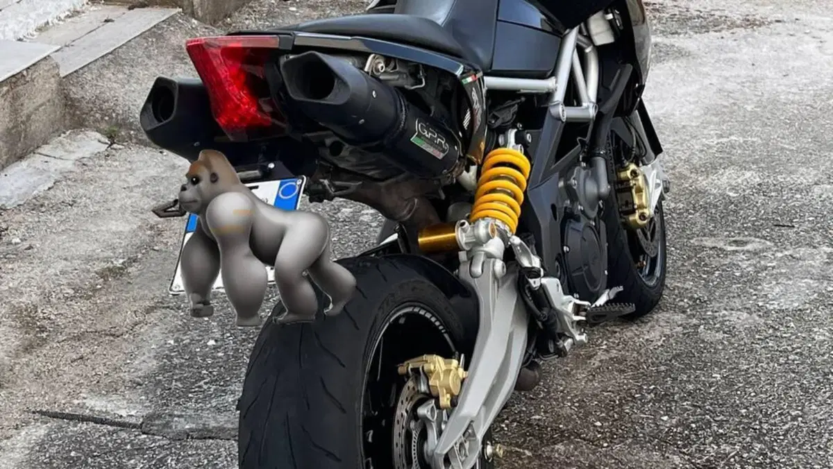 Aprilia Dorsoduro 1200 ABS (2012 - 15)  (5)