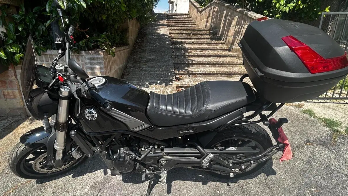 Benelli Leoncino 500 (2021 - 25)  (2)