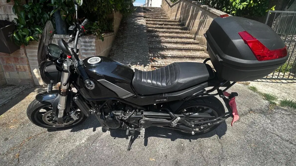 Benelli Leoncino 500 (2021 - 25)  (4)
