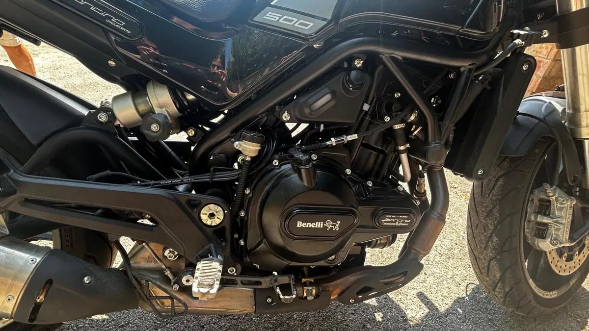 Benelli Leoncino 500 (2021 - 25)  (6)