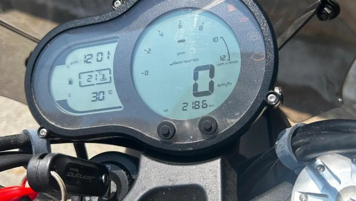 Benelli Leoncino 500 (2021 - 25)  (7)