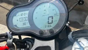 Benelli Leoncino 500 (2021 - 25)  (7)