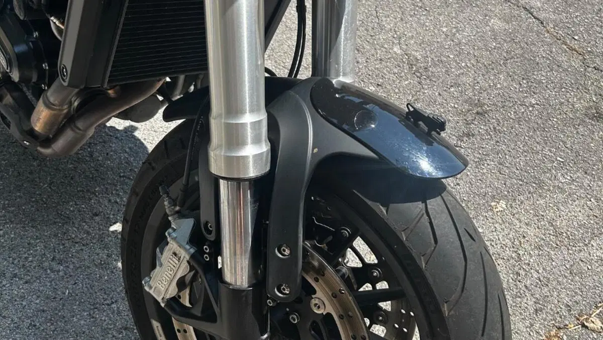Benelli Leoncino 500 (2021 - 25)  (8)