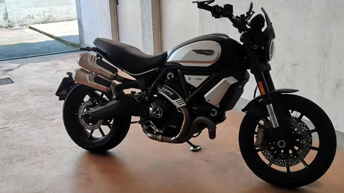 Ducati Scrambler 1100 Dark Pro (2020 - 24)  (3)