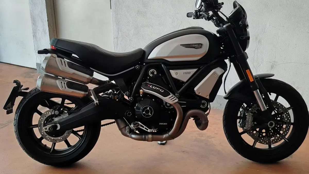 Ducati Scrambler 1100 Dark Pro (2020 - 24)  (4)