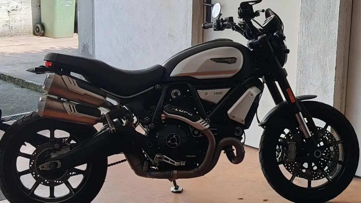 Ducati Scrambler 1100 Dark Pro (2020 - 24)  (7)