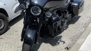 Harley-Davidson 114 Street Glide Special (2019 - 20) - FLHXS  (2)