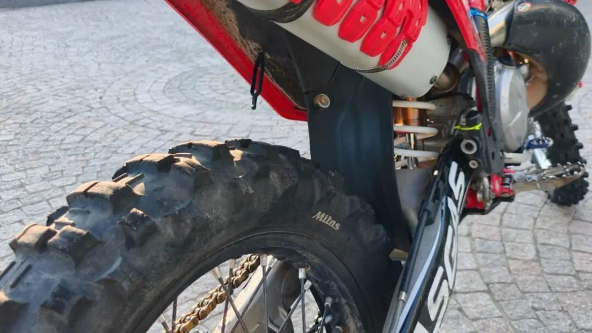 GASGAS EC 250 (2024)  (3)