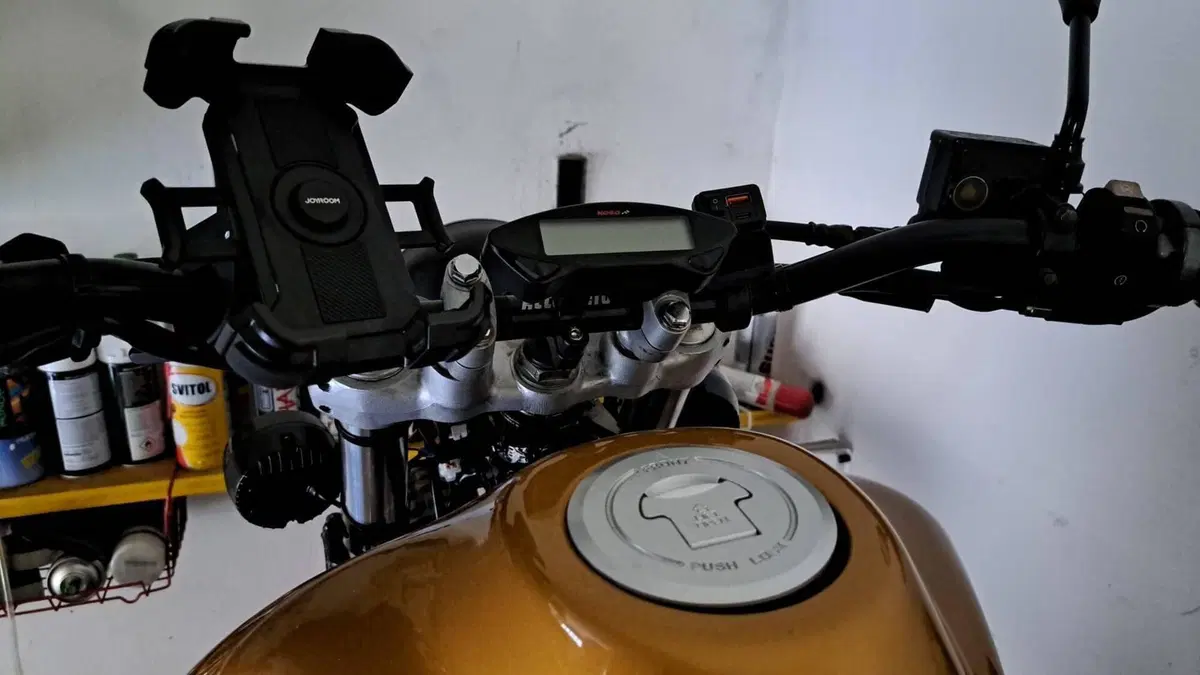 Honda NX 650 Dominator (1996 - 02)  (2)