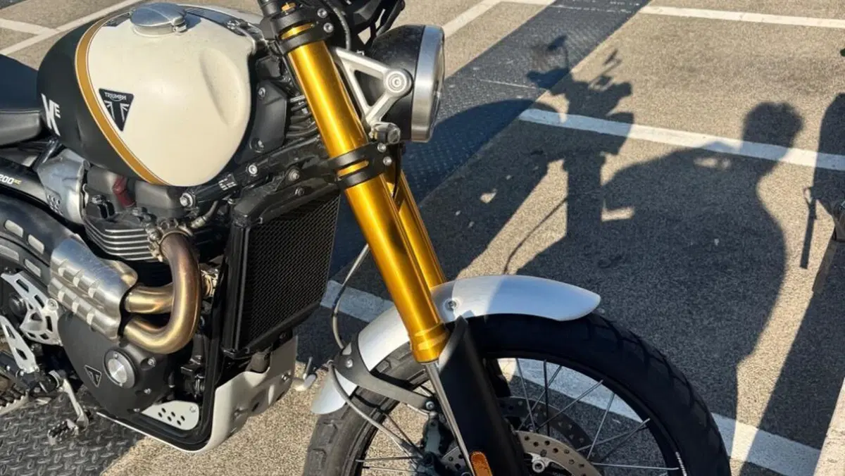 Triumph Scrambler 1200 XE (2026)  (4)