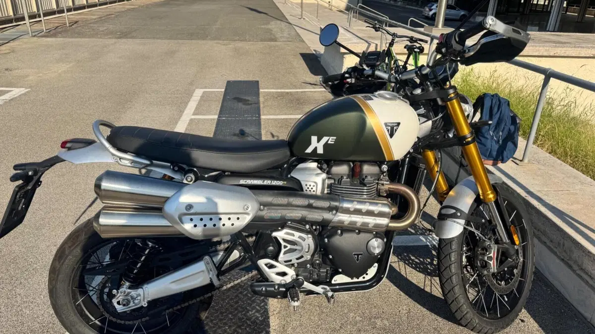 Triumph Scrambler 1200 XE (2026)  (6)